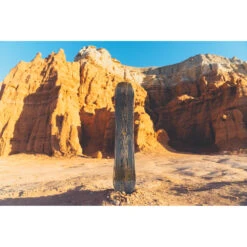 Snowboard Arbor Bryan Iguchi Pro Camber 2022 -Winter Rush Shop snowboard arbor bryan iguchi pro camber 2022 4